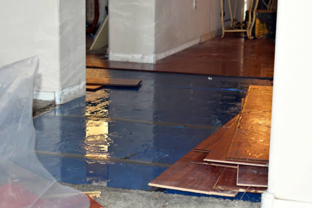 Professional Burst Pipe Cleanup technician working in Fremont, NC